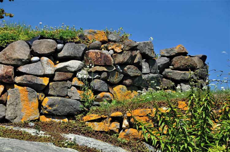 yellowed stone wall